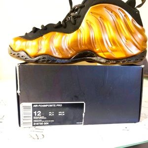 Air foamposite pro
